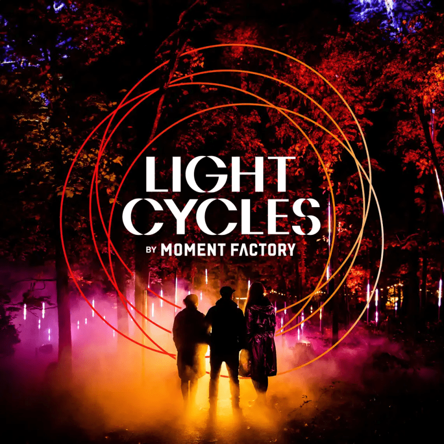 Light Cycles