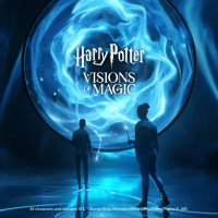 Harry Potter Visions Magic
