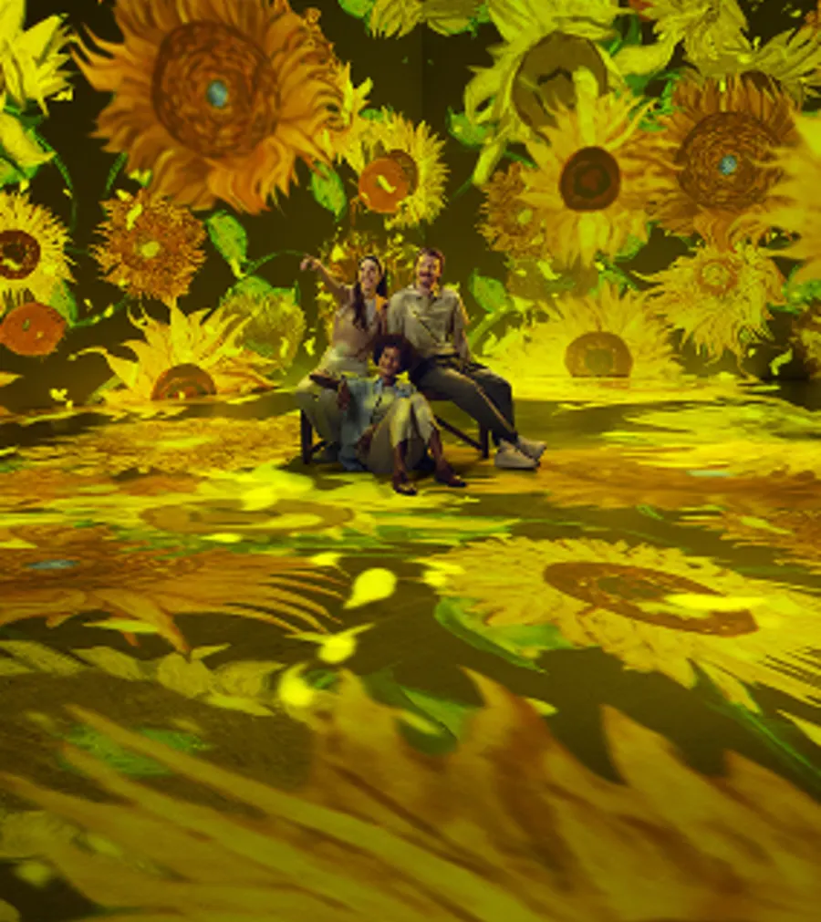 Immersive Experiences