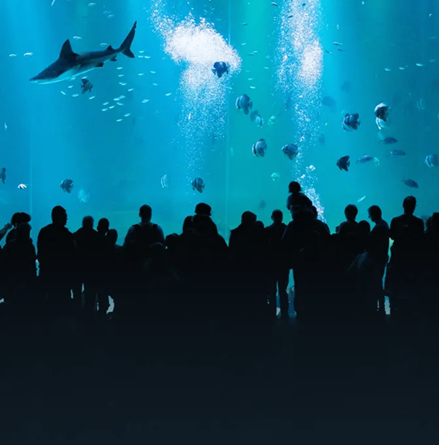 Zoos & aquariums