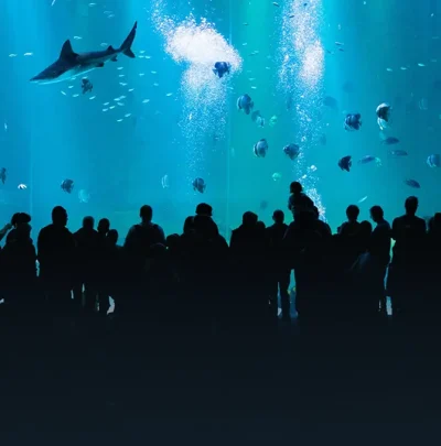 動物園＆水族館